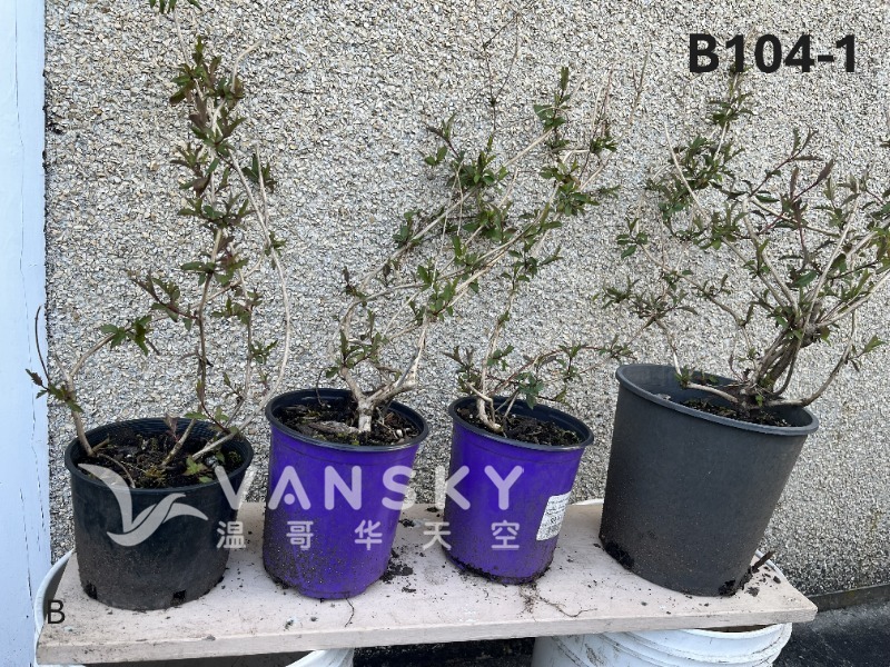 250920100847_B104-1 18-1 - 25-04.JPG